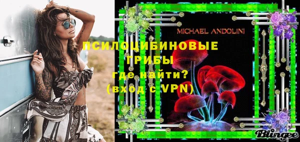 прущие грибы Белоозёрский