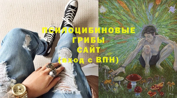 молекула духа Сосновый Бор