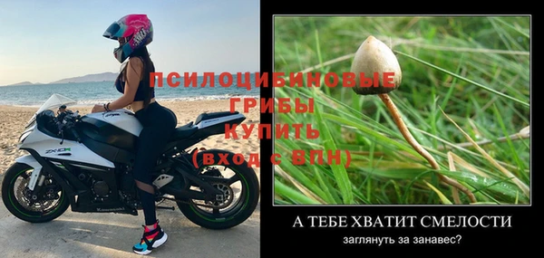 прущие грибы Белоозёрский