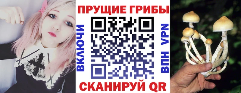 Псилоцибиновые грибы ЛСД  что такое наркотик  Полесск 