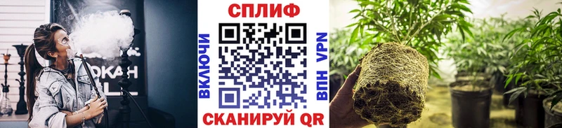 mega   Полесск  МАРИХУАНА индика  магазин  наркотиков 